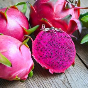 Dragon Fruit Plant