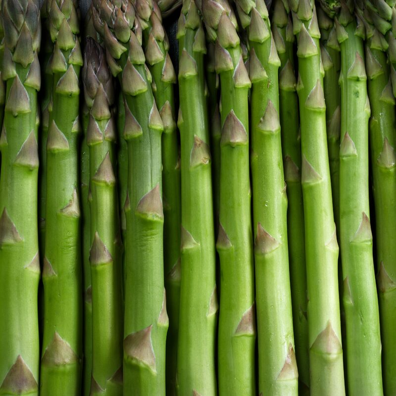 6 Green Asparagus Plants - Live Asparagus Plants - Well Asparagus Plants Live Outdoor - Zone 3 To 8 - Image 4