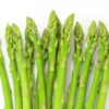 5 Green Asparagus Plants - Popular Vegetable Plants - Spring Vegetable Plant - Outdoor Plant