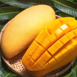 Alternative view of Florigon Mango Tree Grafted - 2-3Ft - 3 Gallon Pot - Tropical Fruit Tree Zones 9-11 - Sweet Flavor Mango Tree Ready to Bear Fruit in 1 Year