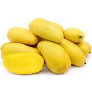 Ataulfo Mango Tree Grafted - 2-3Ft - 3 Gallon Pot - Tropical Fruit Tree Zones 9-11 - Sweet Flavor Mango Tree Ready to Bear Fruit in 1 Year