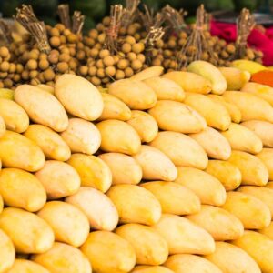 Alternative view of Nam Doc Mai Mango Tree Grafted - 14-18 Inc Tall in Pot - Tropical Fruit Tree Zones 9-11 - Sweet Flavor Mango Tree Ready to Bear Fruit in 1 Year