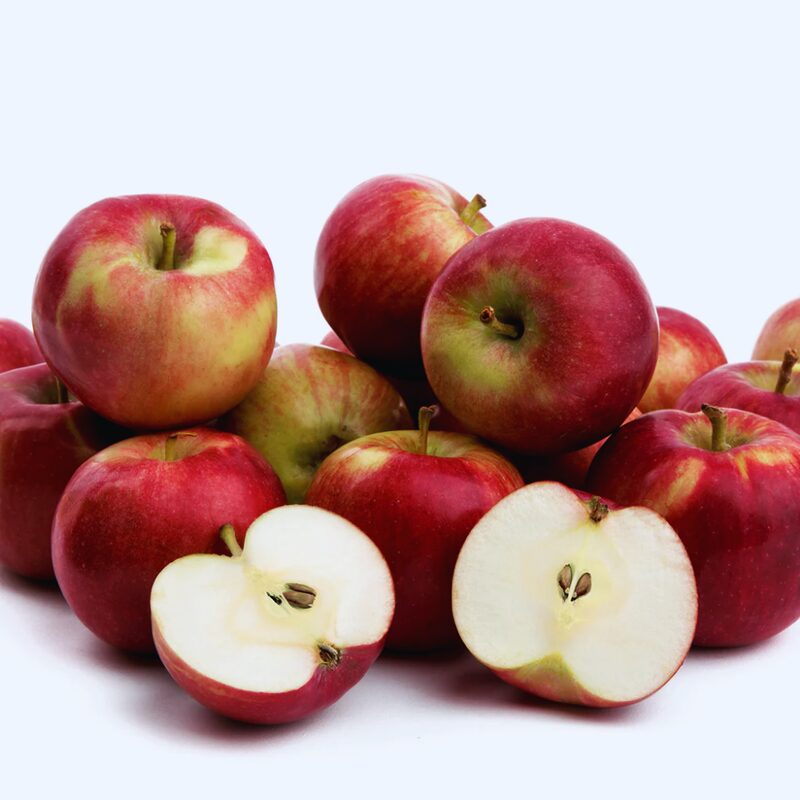 McIntosh Apple Tree, 6-7 Feet Tall - Image 2