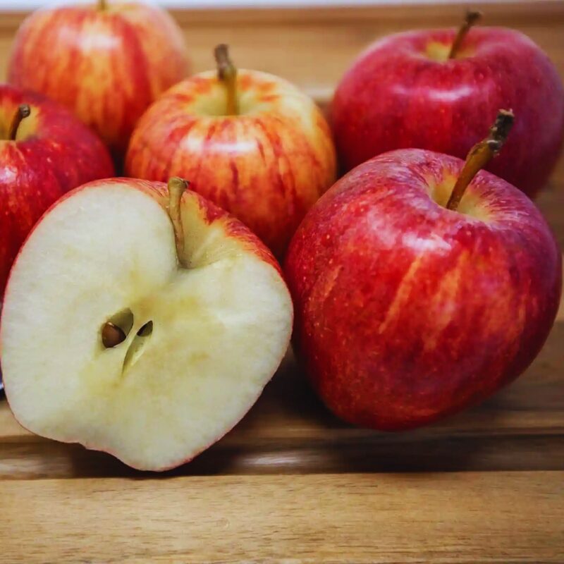 Gala Apple Tree, 3-4 Feet Tall