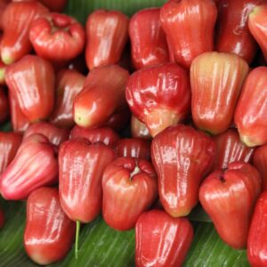 Alternative view of Jambu Wax, Rose Apple