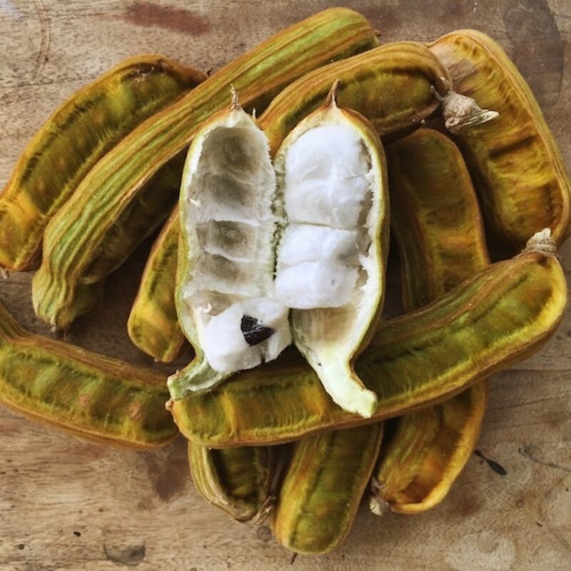 Ice Cream Bean Fruit Tree - Image 3