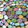 15 Lithops Succulent Plants Living Stone
