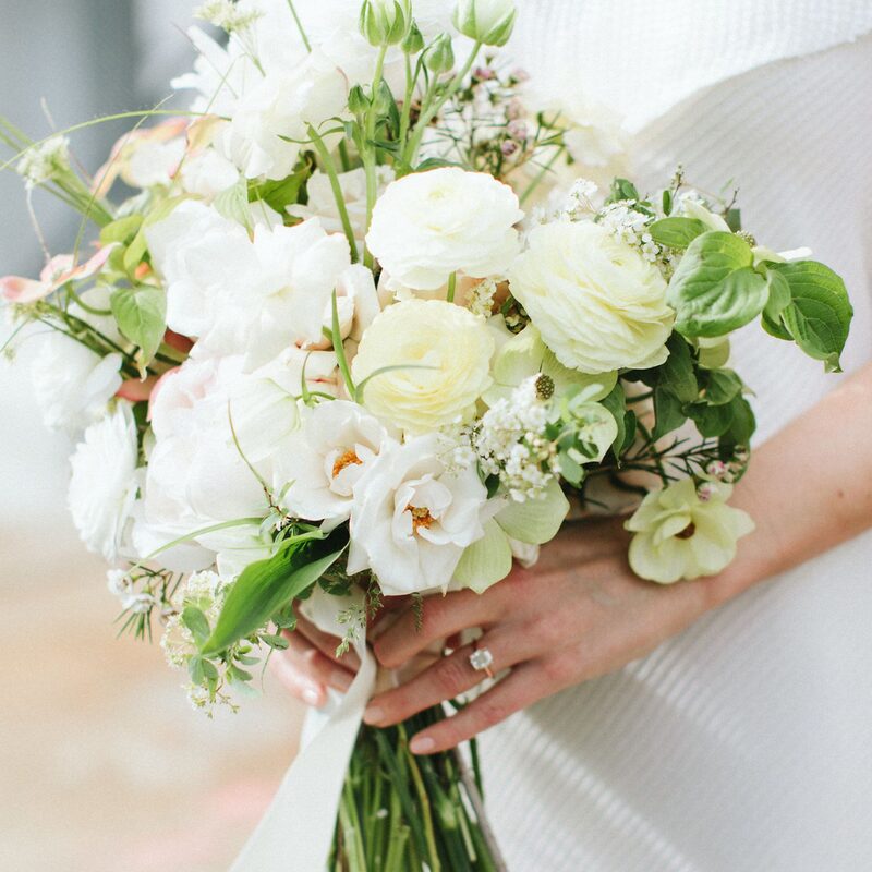 Pack 25 White Ranunculus Buttercup Bulbs - Image 5