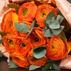 Alternative view of 25 Orange Ranunculus Bulbs