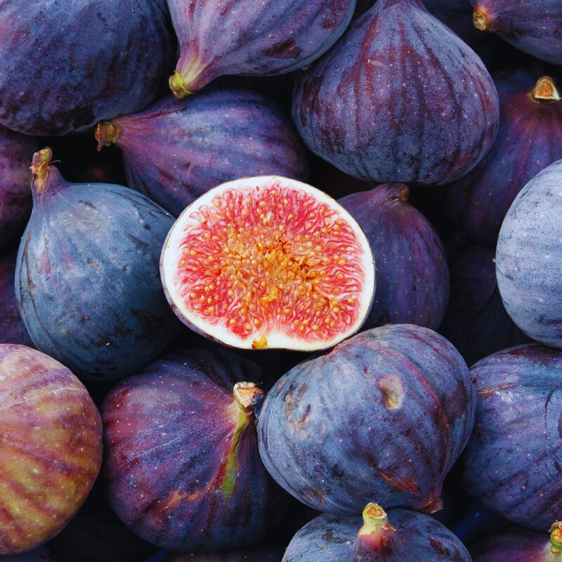 2 LSU Purple Fig Cuttings Unrooted, 6 to 9 Inc Tall - Image 5