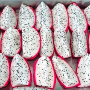 Alternative view of White Dragon Fruit Plant Live, 4 to 6 Inches Tall