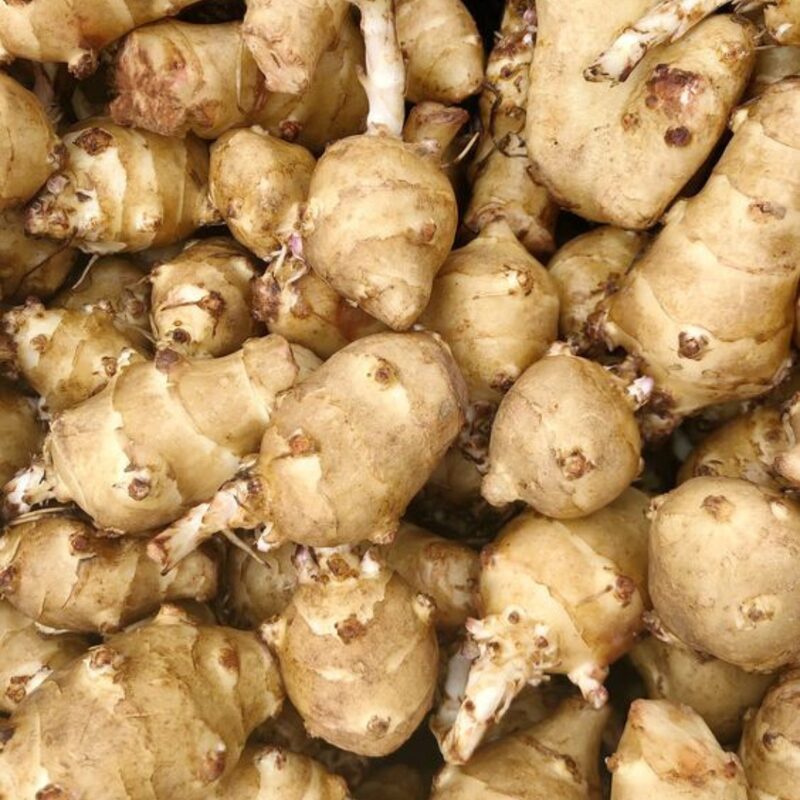 8 Jerusalem Artichoke Tubers For Planting - Organic Sunchoke, Sunroot Tubers - Freshly Dug - Outdoors - Zone: 3 to 9 - Spring, Fall Planting - Image 5