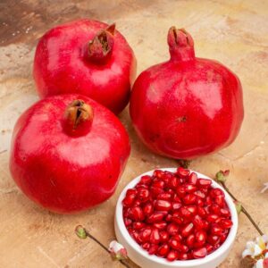 Alternative view of Pomegranate Tree Live Plant - Wonderful Pomegranate -8 to 10 Inch Tall, 4 Inch Pot