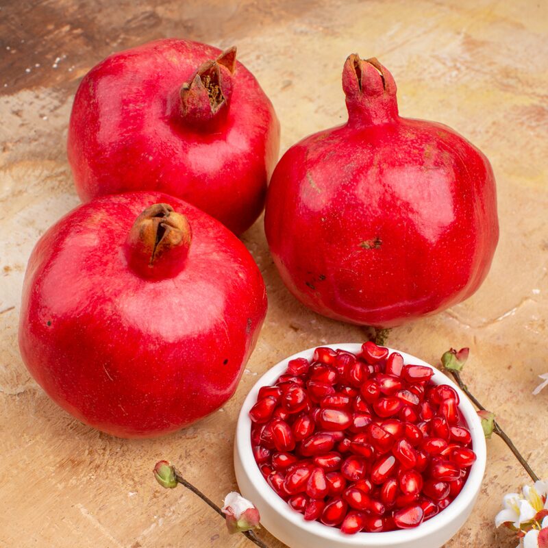 Pomegranate Tree Live Plant - Wonderful Pomegranate -8 to 10 Inch Tall, 4 Inch Pot - Image 2