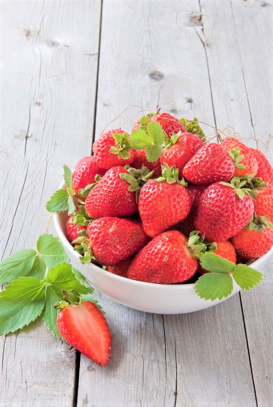 Strawberry Plants Bareroot - 100 Bareroots - Chandler Strawberry - Image 2