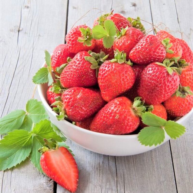 Strawberry Plants Bareroot - 100 Bareroots - Cabot Strawberry