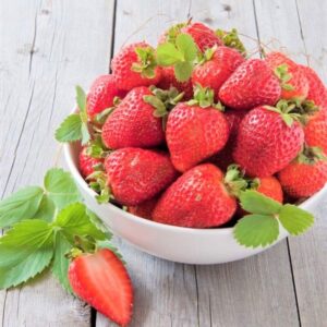 Strawberry Plants Bareroot - 10 Bareroots - Cabot Strawberry