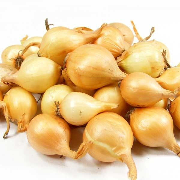 Yellow Onion Bulbs, Bulbing Onion Seeds, 100 Bulbs Onion Bulbs For Planting, Onion Sets, Bulk Onion Sets - Image 5
