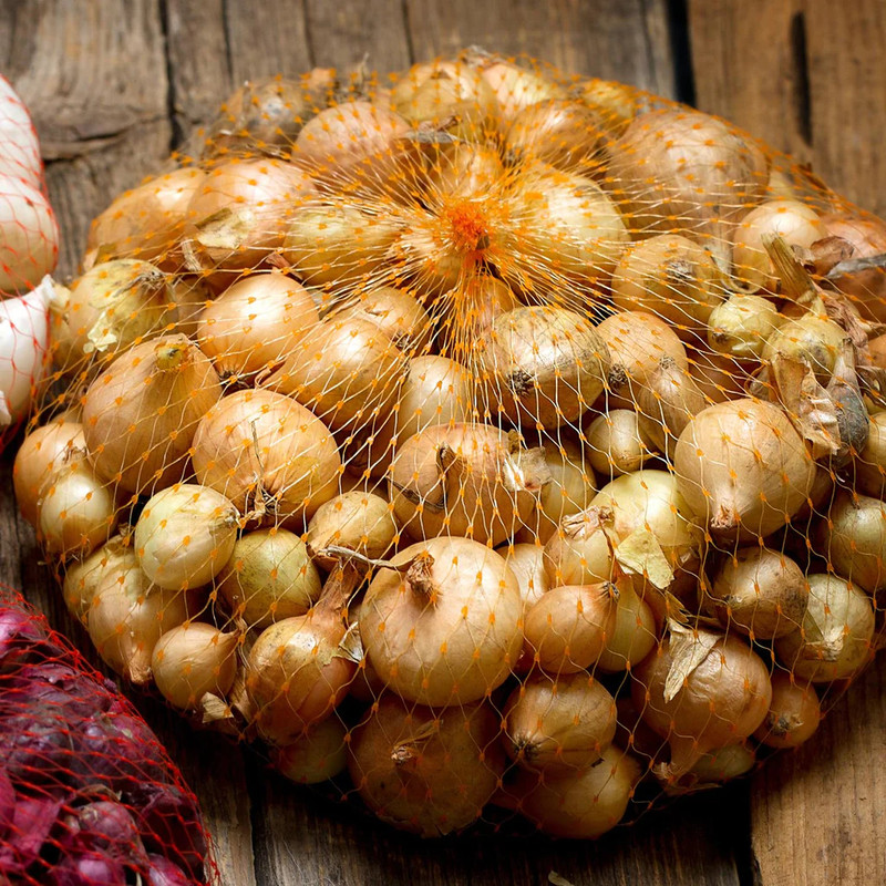 Yellow Onion Bulbs, Bulbing Onion Seeds, 100 Bulbs Onion Bulbs For Planting, Onion Sets, Bulk Onion Sets - Image 2