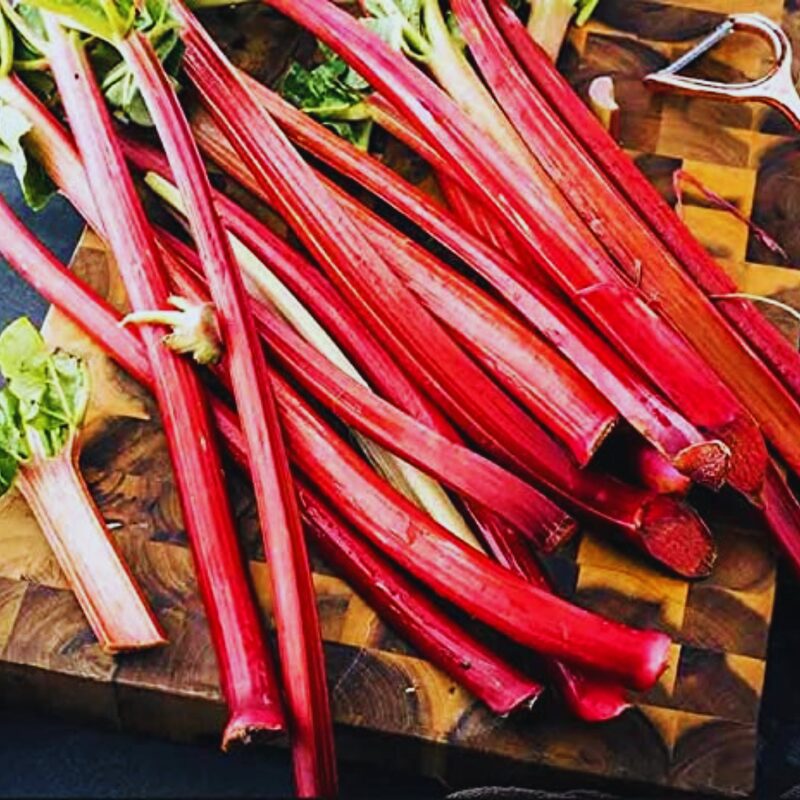 Rhubarb Plant - Image 2