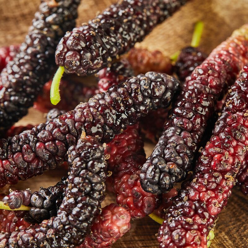 Pakistan Mulberry - Image 3