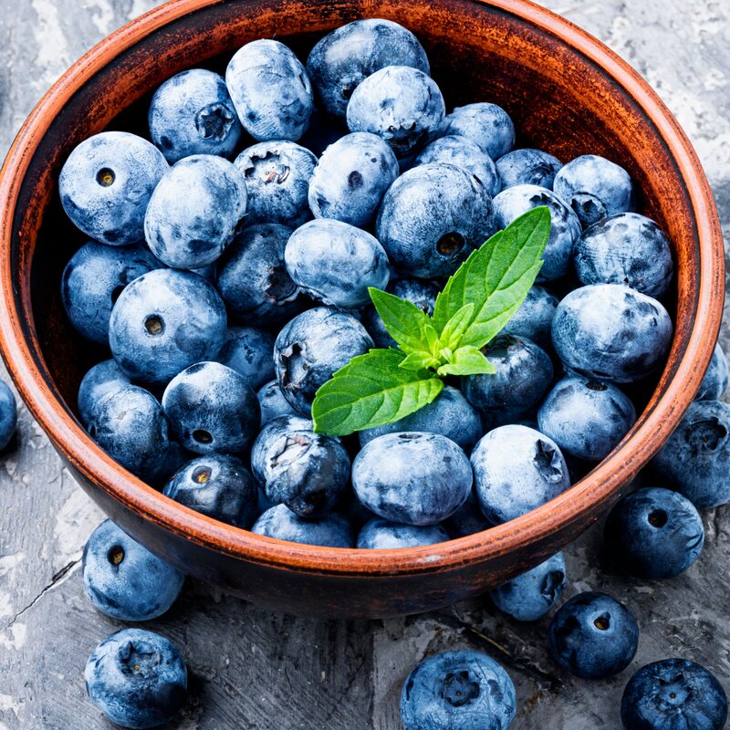 O'neil Blueberry Plant - Image 2