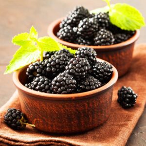 Alternative view of Chester Blackberry Plants