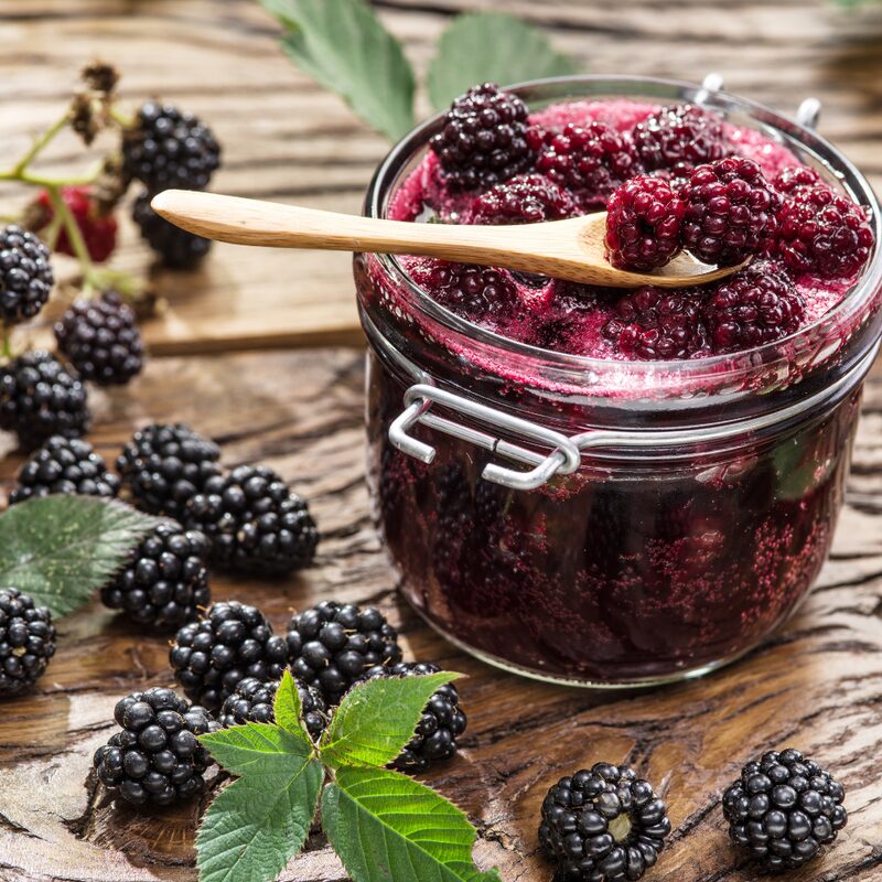 Arapaho Blackberry Plants - Image 5