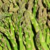 10 Pack Mary Washington Asparagus Crowns, Green Asparagus Roots 2 Yrs Old