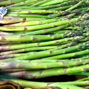 Alternative view of 10 Pack Mary Washington Asparagus Crowns Live, 2 Yrs Old Asparagus Roots