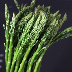 Alternative view of 5 Pack Mary Washington Asparagus Crowns For Planting, 2 Yrs Old, Asparagus Roots