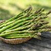 5 Pack Mary Washington Asparagus Roots, Asparagus Crowns 2 Years Old Ready To Grow