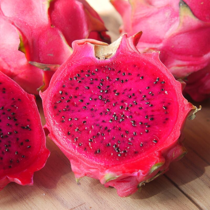 Purple Dragon Fruit Live Plant