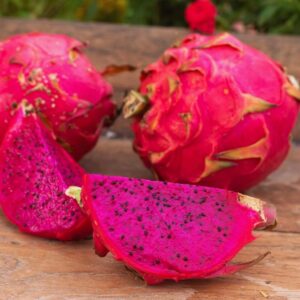 Purple Dragon Fruit Plant Live