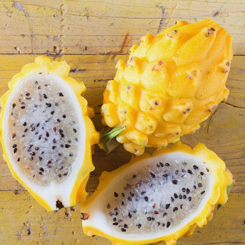 Yellow Dragon Fruit Live Plant - Image 4