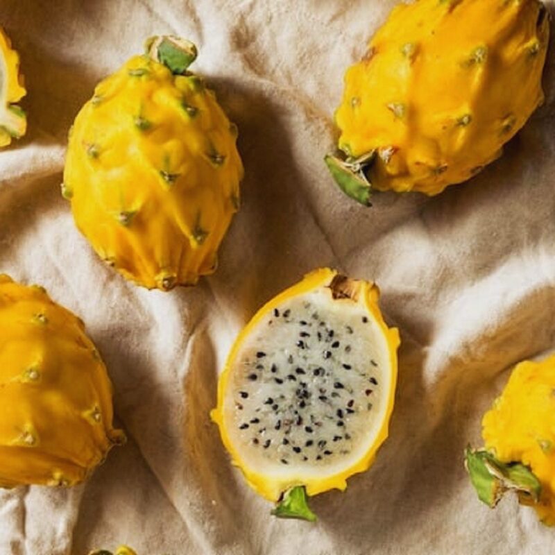 Yellow Dragon Fruit Plant Live - Image 5