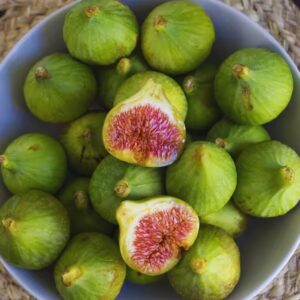 Alternative view of White Kadota Fig - 4 to 6 Inc Tall