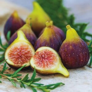 Alternative view of Texas Everbearing Plant Tree - 4 to 6 Inc Tall