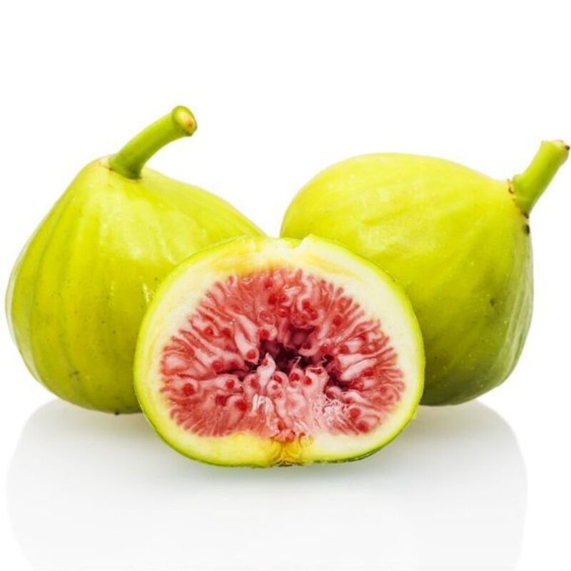 Peter's Honey Fig Live Plant - 2 Feet Tall - Image 6