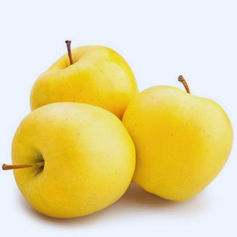 Dorsett Golden Apple - Image 4