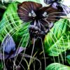 4 Tacca Chantrieri Black Bat Flower Plants, In 2 Inc Pot, 4 Pots