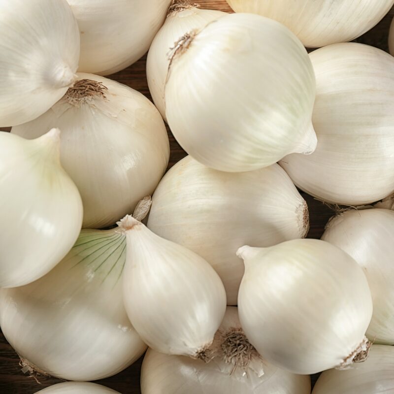 White Sweet Spanish Onion Seeds - Image 4