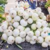 White Sweet Spanish Onion Seeds