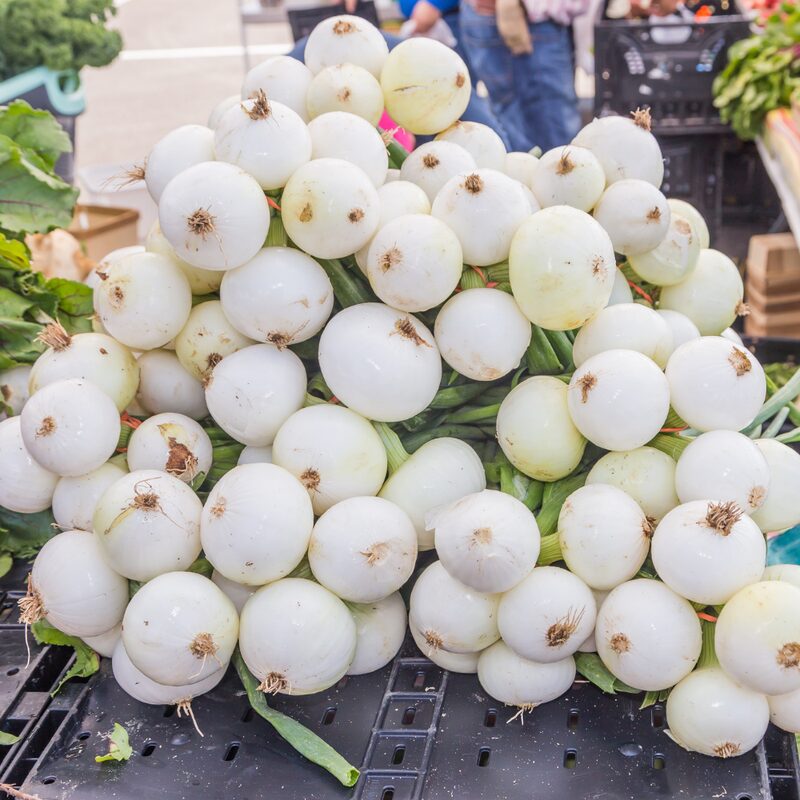 White Sweet Spanish Onion Seeds