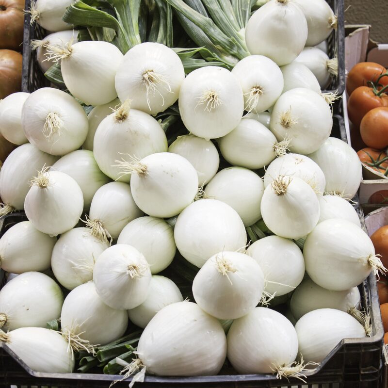 White Sweet Spanish Onion Seeds - Image 2