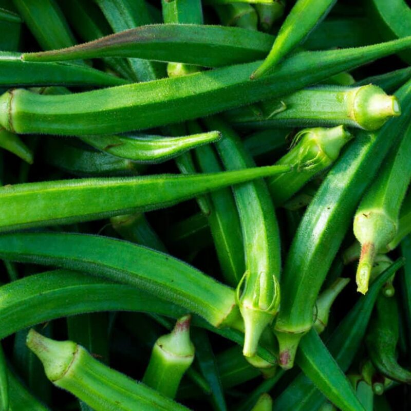 Cowhorn Okra Seeds - Image 2