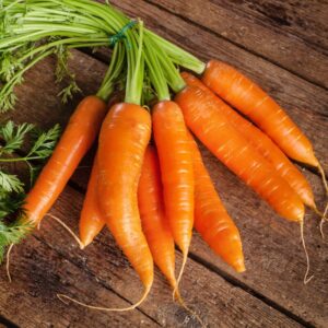 Alternative view of Little Fingers Carrot Seeds, Baby Carrot Seeds