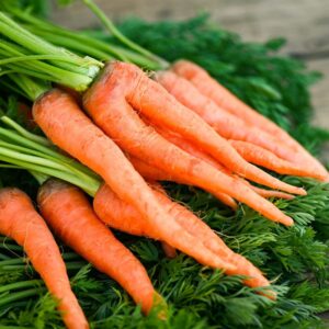 Imperator 58 Carrot Seeds, Danver