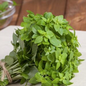 Dwarf Greek Basil Seeds