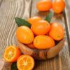 Kumquat Trees Live Plants